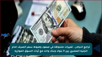 تراجع الدولار.. تغيرات ملحوظة في صعود وهبوط سعر الصرف أمام الجنيه المصري بين 9 بنوك وبنك واحد مع ثبات السوق الموازية